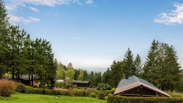 A serene landscape with a house surrounded by lush greenery and tall trees. - Home in Steinbach-hallenberg (Steinbach-Hallenberg)
