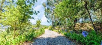 Villa With Pool Near Douro Valley