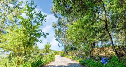 Villa With Pool Near Douro Valley