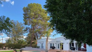 Zona de piscina con un edificio blanco, mobiliario exterior y un árbol grande.