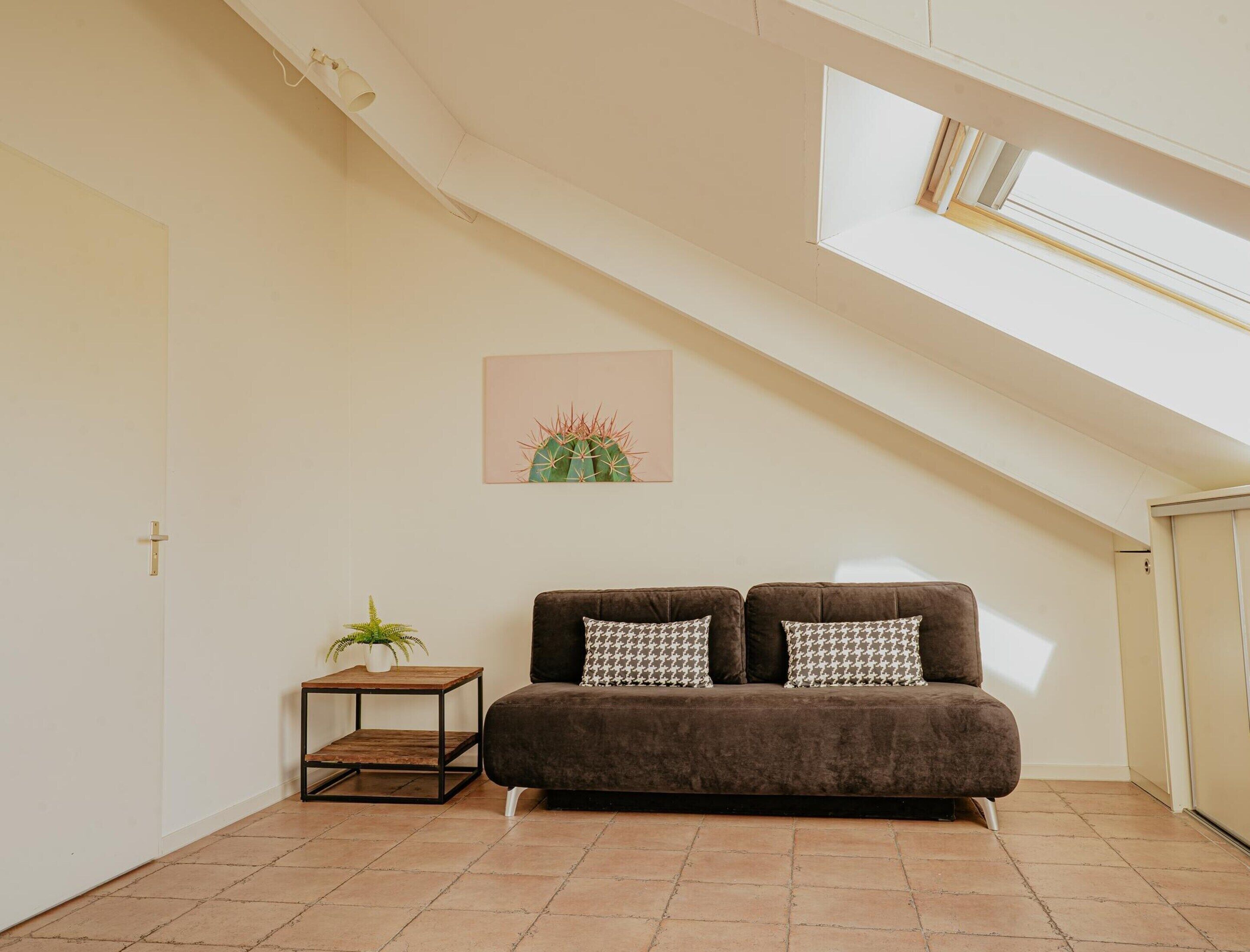Une pièce chaleureuse avec un canapé marron, une petite table d’appoint, un cactus et une lucarne au plafond.