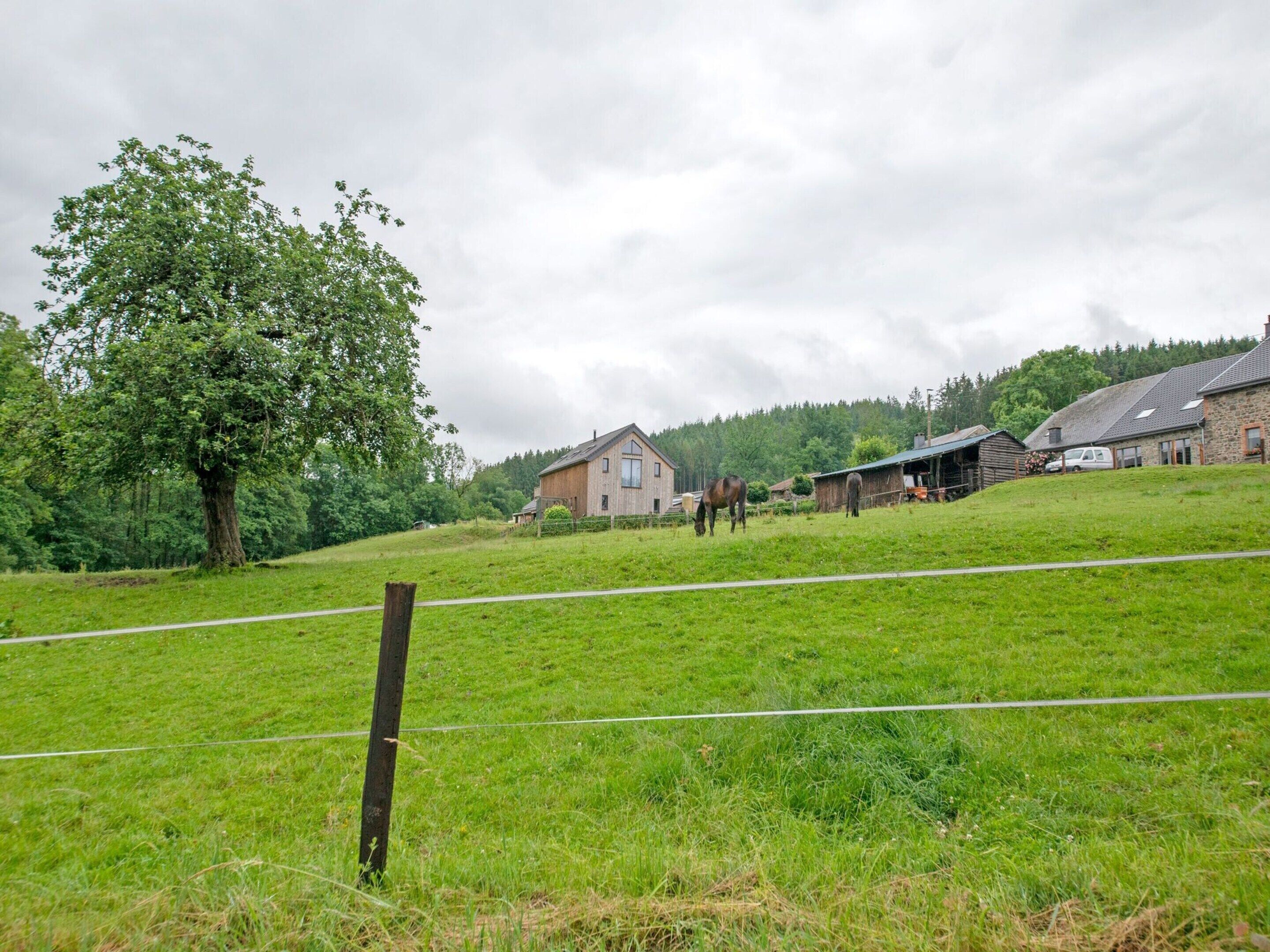 A rural landscape with a large tree, a wooden house, and a barn.