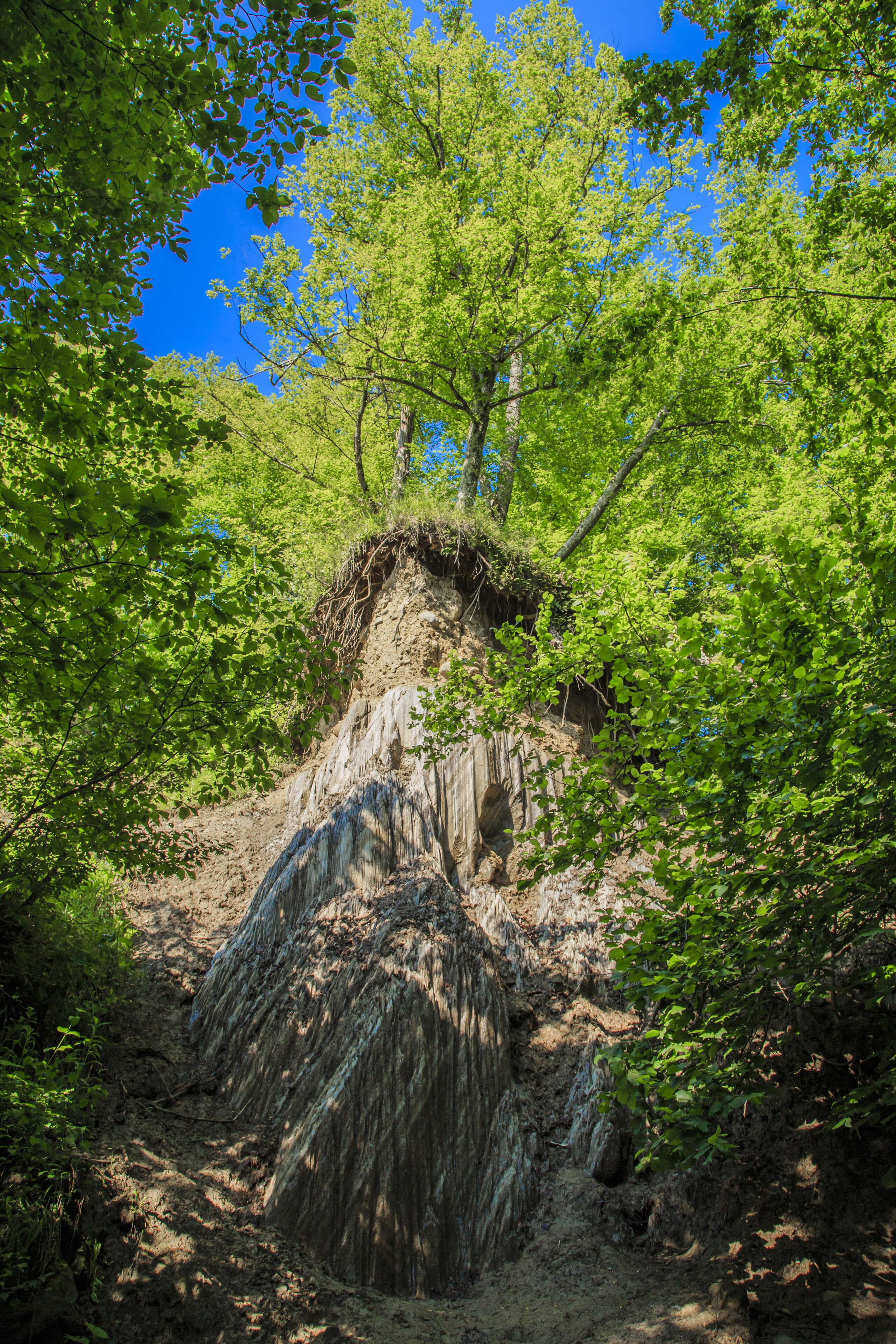 A natural landscape with a rocky cliff and dense green foliage.