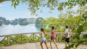 A bridge with a railing overlooking a body of water and greenery. - Ambassador Cruise Halong Bay (Bai Chay)