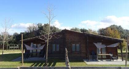 Quaint Holiday Home in Ultramort With Private Garden