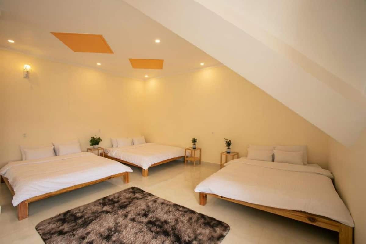 A bedroom with two beds, a large rug, and a sloped ceiling with recessed lighting.