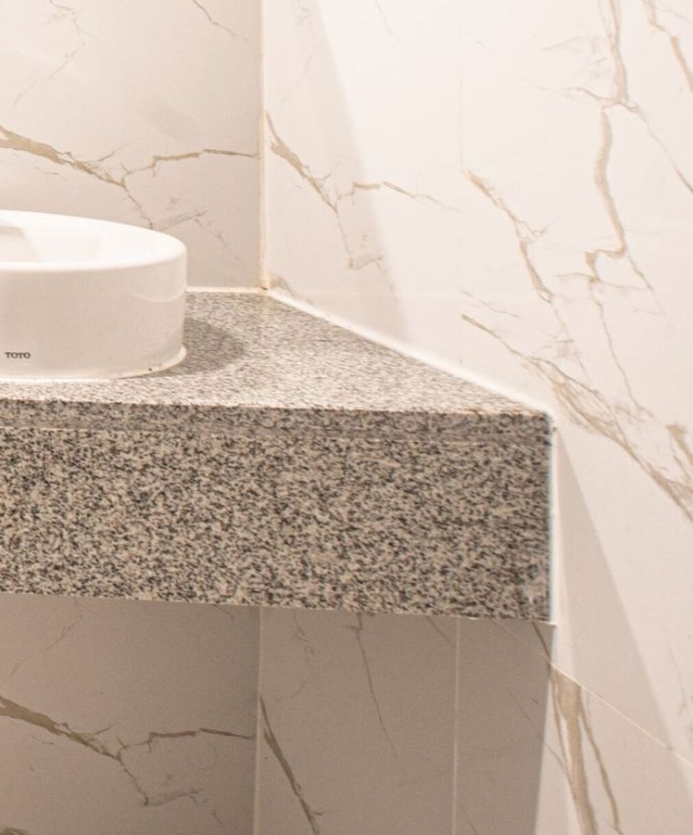 A bathroom with a white toilet, granite countertop, and marble walls.