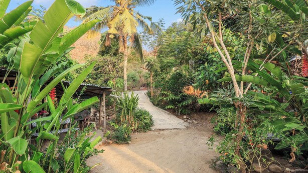 Un sentier de jardin menant à une construction rustique en bois, surmontée d’un toit de chaume.