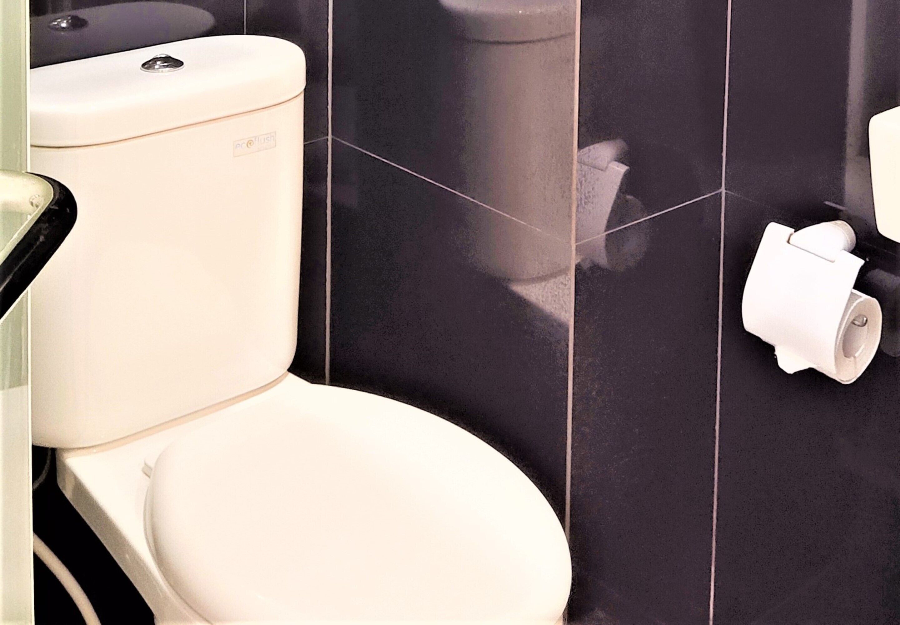 Eine weiße Toilette mit Bidetanschluss und einem Handtrockner.
