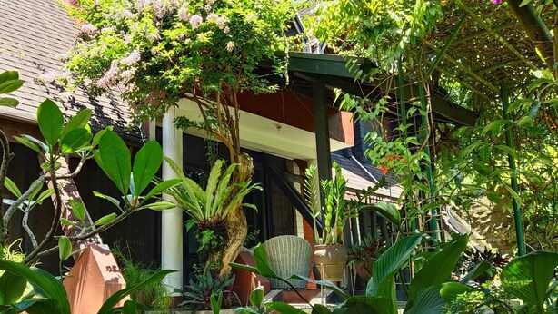 A covered outdoor area with a staircase leading to a building, surrounded by various plants and a wicker chair. - OBC Villa (Bandung)