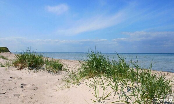 Playa en los alrededores 