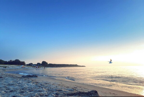 Playa en los alrededores 