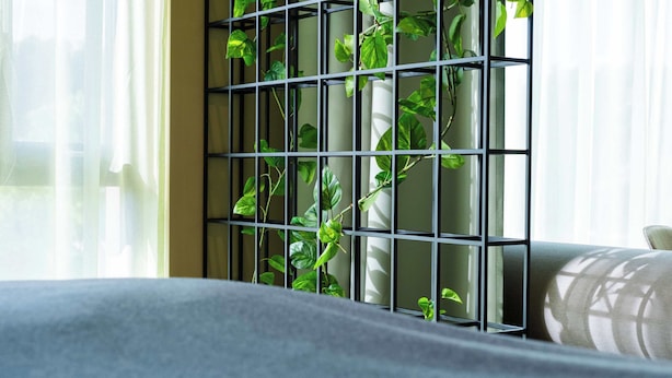 Una habitación con un sofá gris, un portaplantas de metal negro con plantas verdes y cortinas de gasa.