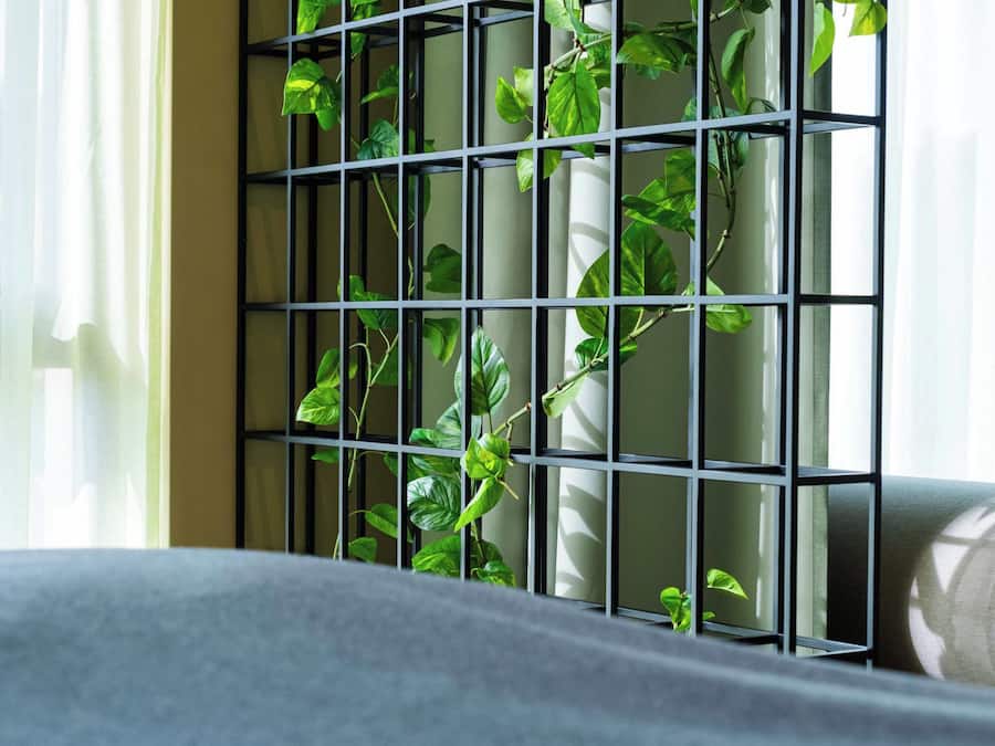 Suíte júnior | Escrivaninha, espaço de trabalho para notebook, Wi-Fi de cortesia