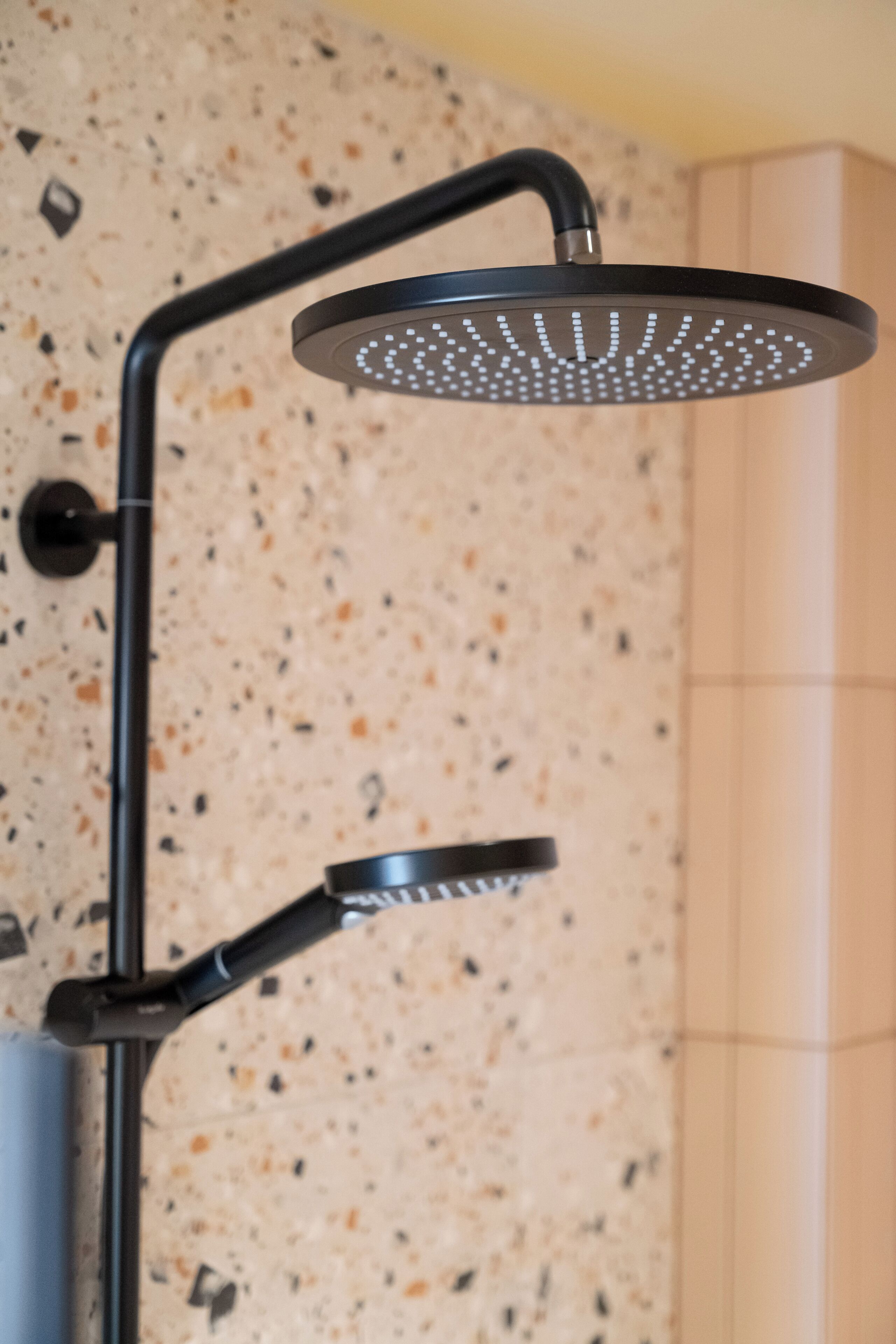 A showerhead with a curved design and a handheld shower attachment.
