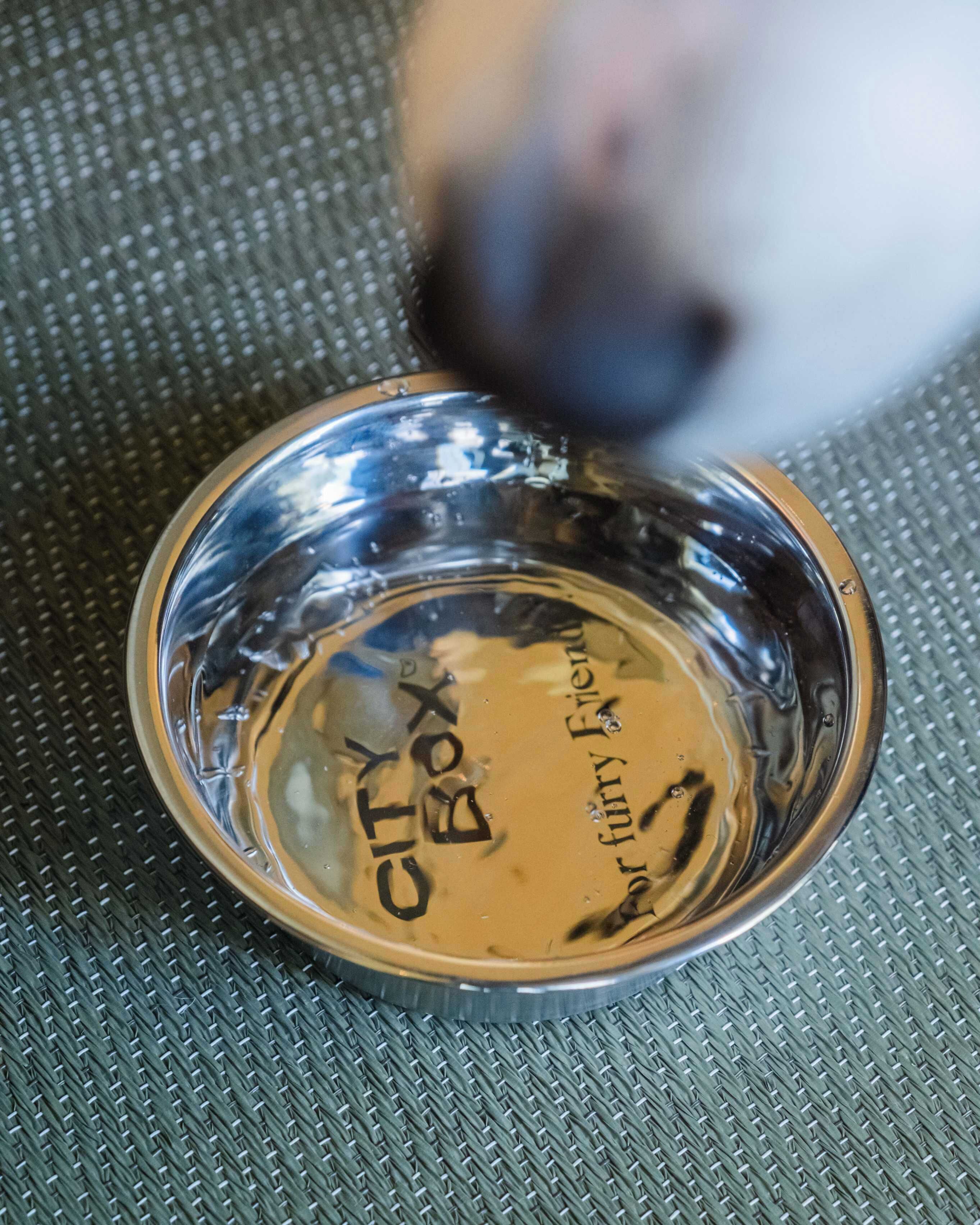 pet-friendly amenities