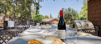 5 Bedroom wine Country Home, Grill, Hot Tub, Granny unit in Santa Rosa 