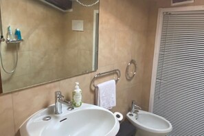 Shower, hair dryer, bidet, towels