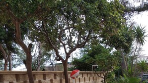 A paved walkway with hexagonal tiles, bordered by a low stone wall and potted plants. - Apartment Roberto  (Gallipoli)