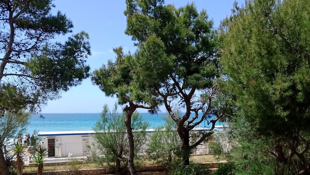 A balcony with a view of the sea, surrounded by trees and a stone wall. - Apartment Roberto  (Gallipoli)