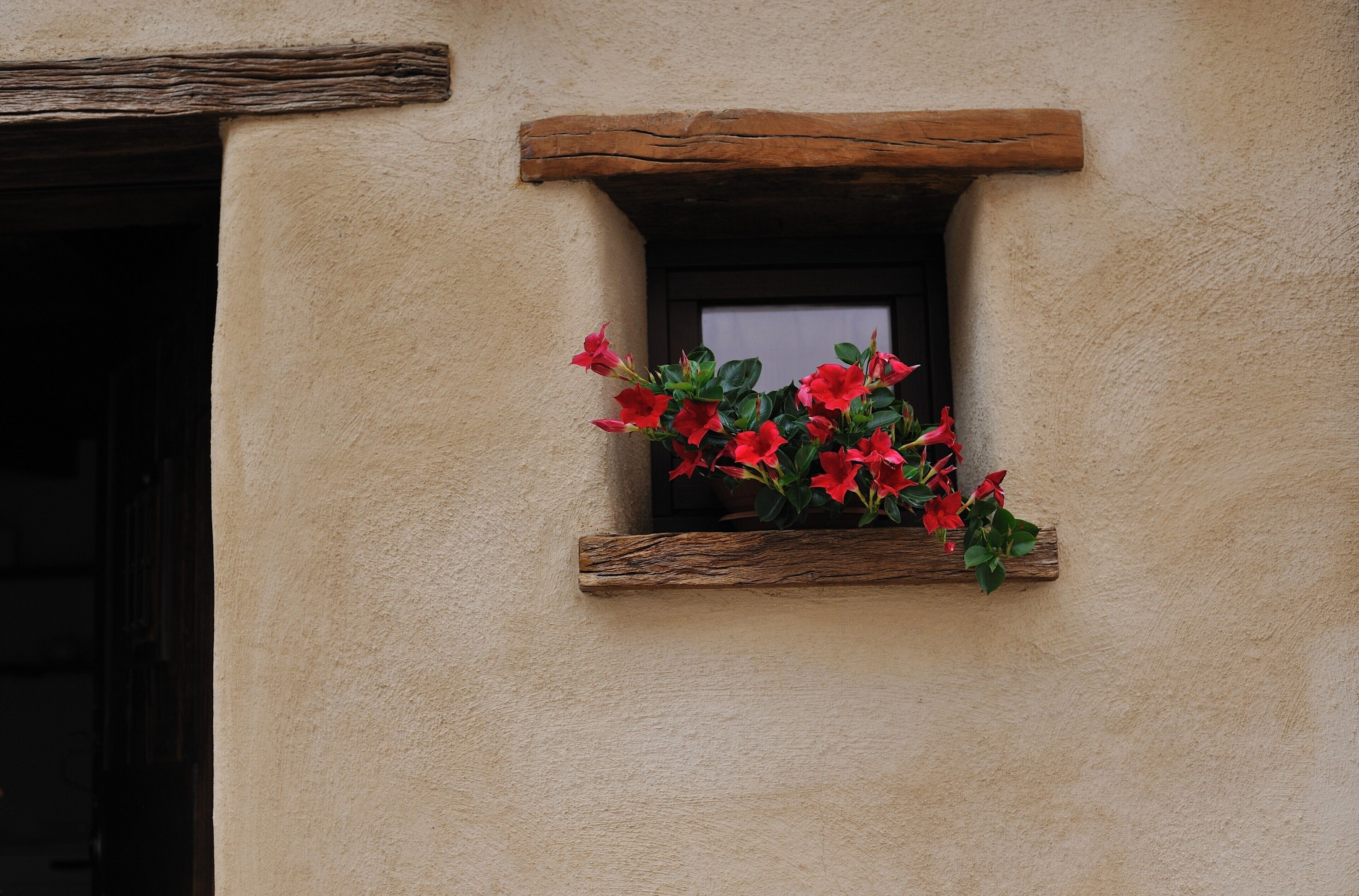 Une fenêtre avec un cadre en bois et un jardon contenant des fleurs rouges.