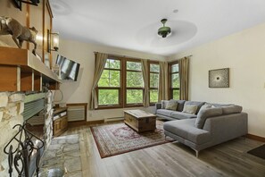 TV, fireplace