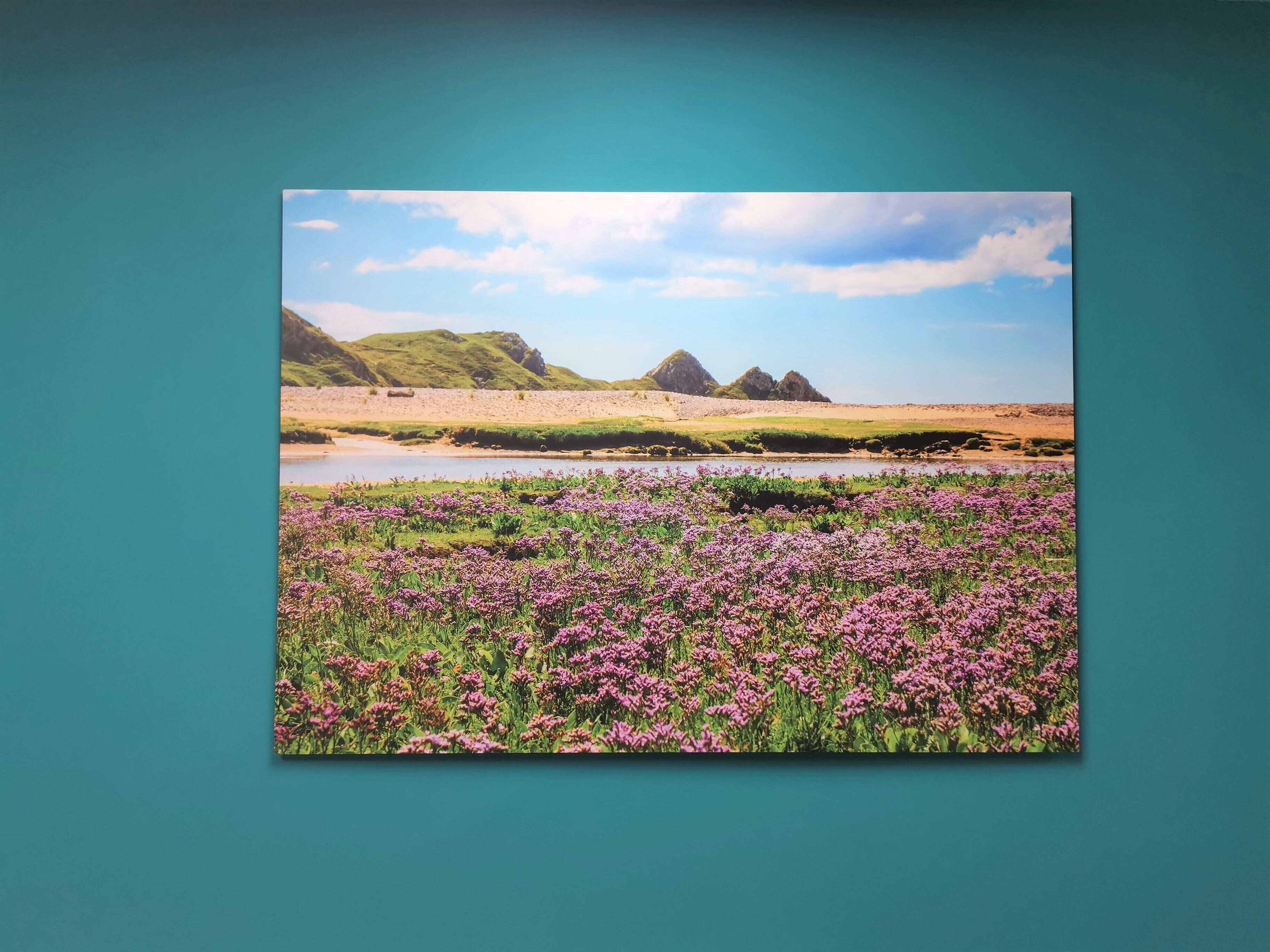 Paisagem com um campo de flores roxas, um rio e colinas ao longe.