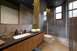 Douche, séchoir à cheveux, serviettes fournies, savon