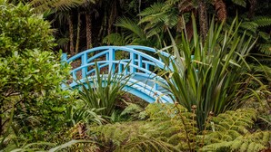 A blue bridge in a lush green forest. - KAURI HILL ESTATE Luxe Retreat Overlooking Whangaroa Harbour (Northland)