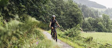 Una persona pedaleando en bicicleta por un sendero de tierra rodeado de vegetación.