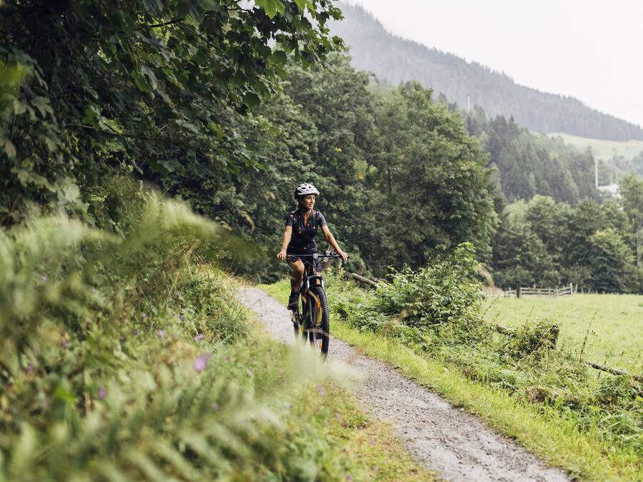 En person som cyklar på en grusväg omgiven av grönska.