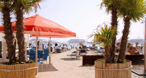 Playa en los alrededores 