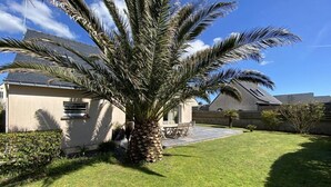 Una casa con un césped cuidado, una palmera y un espacio de patio.