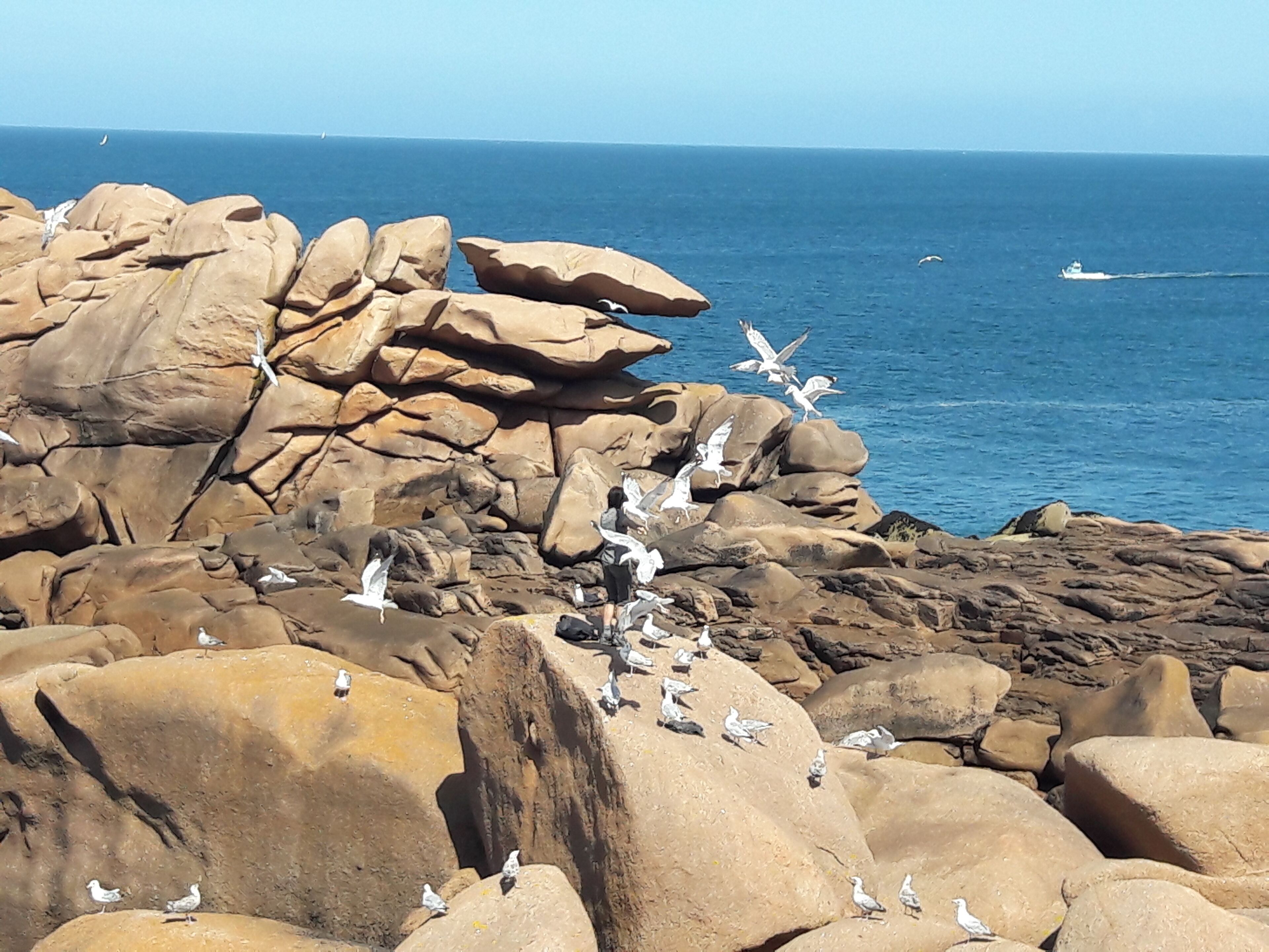 Un paysage côtier rocheux, parsemé de gros blocs de pierre, offrant une vue dégagée sur la mer.