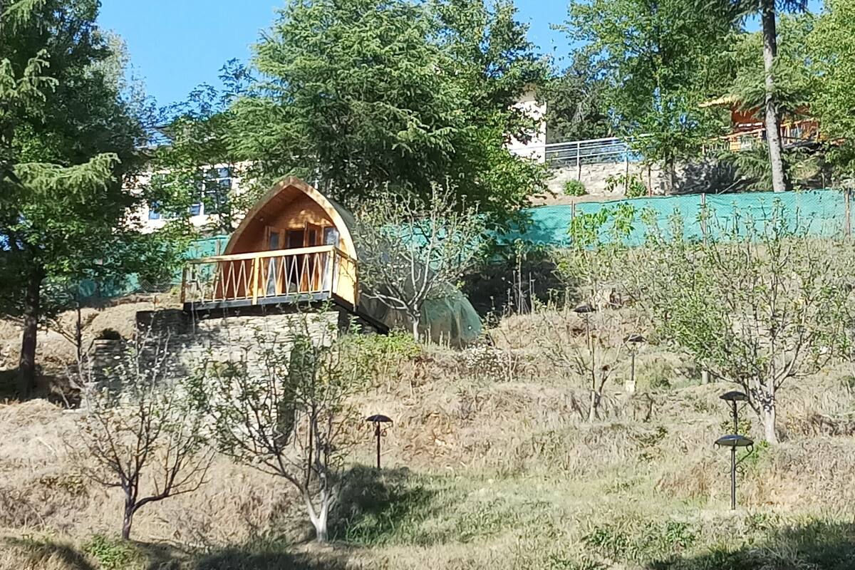 Wooden Hut