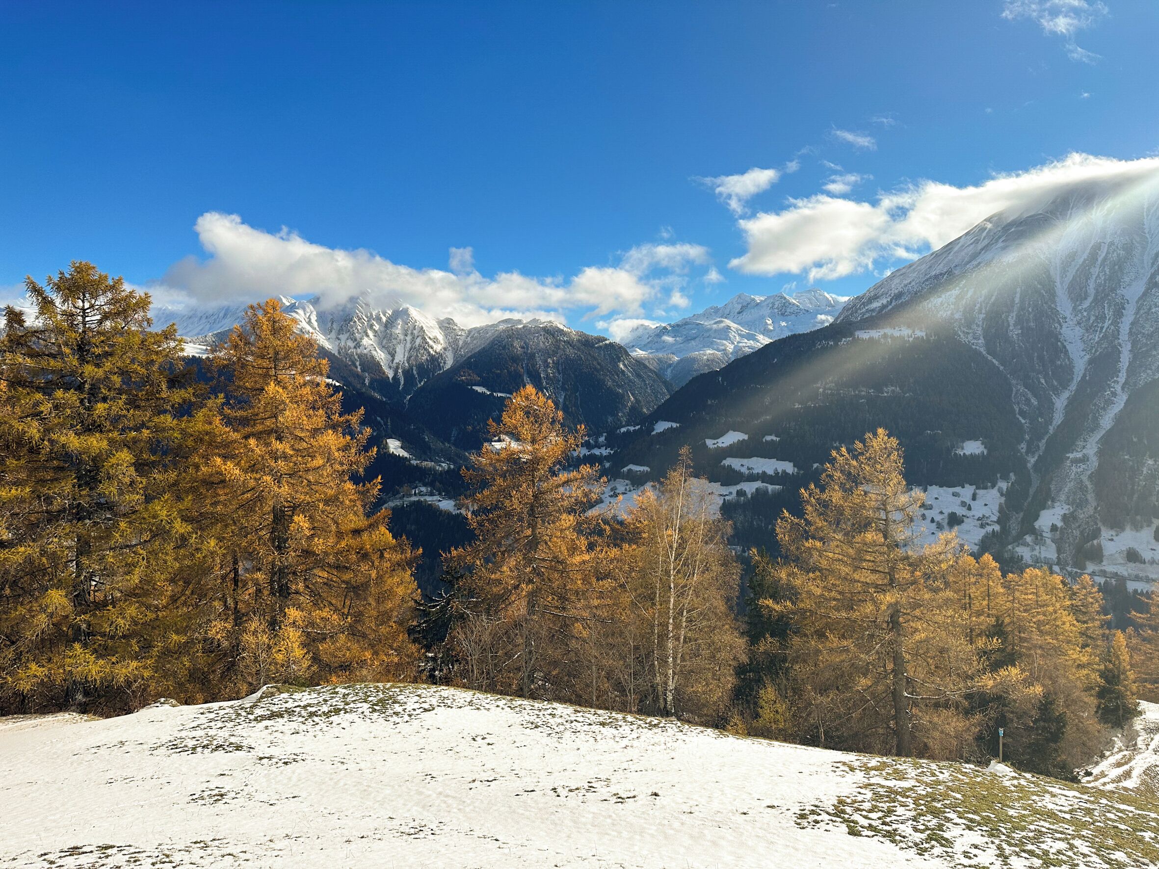 Eine verschneite Berglandschaft mit Bäumen und blauem Himmel.