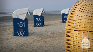 Des chaises de plage portant les numéros 151, 160 et 166, sur une plage de sable.