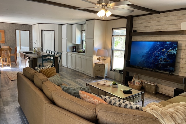 Smart TV, caminetto, biblioteca musicale