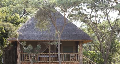 Big game viewing, rich variety of wildlife