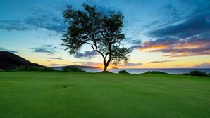 Un campo de golf con un árbol destacado en el centro, cielo despejado y una puesta de sol al fondo.