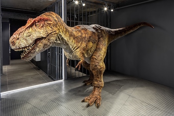 Reception area at Henn na Hotel New York