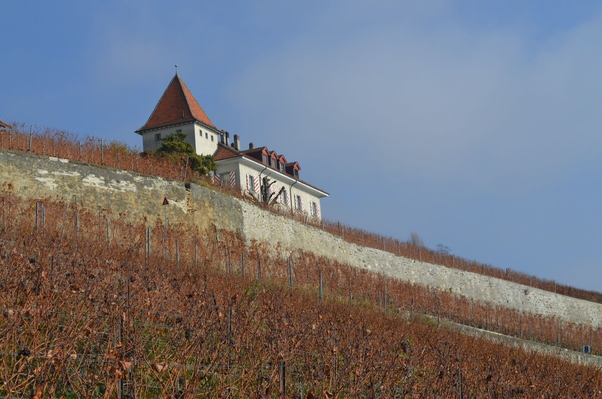 Image de profil de l’hôte