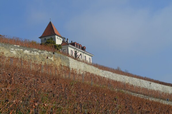 Aussenbereich