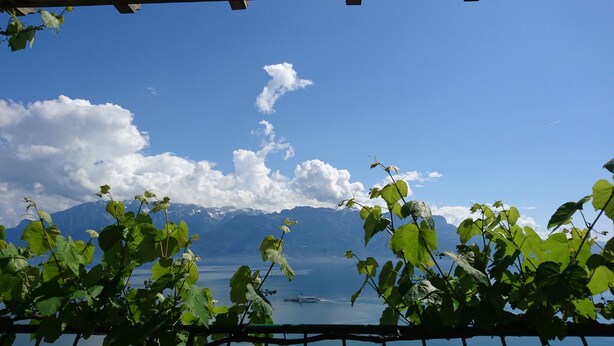 Une vue sur un lac, avec des montagnes en arrière-plan, encadrée par un feuillage verdoyant et une rambarde métallique.