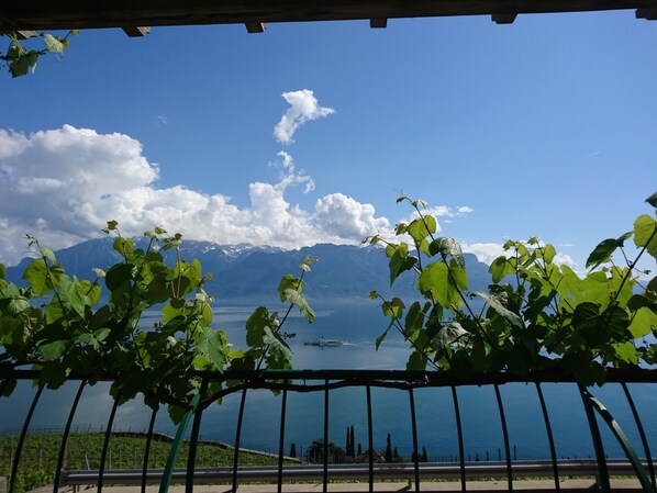 Photo non classée, 1 sur 36, bouton