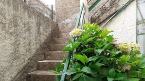 Eine Steintreppe mit grüner Geländer, umgeben von üppigem Grün und gelben Blüten.