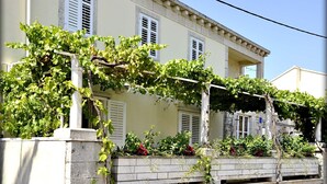 Un bâtiment doté d’une façade en pierre, de volets blancs et d’une pergola recouverte de plantes grimpantes.