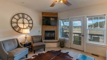 TV connectée, cheminée, lecteur de DVD, livres