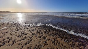 Ein Strand mit blauem Himmel und Sonnenlicht, das auf dem Wasser glitzert.