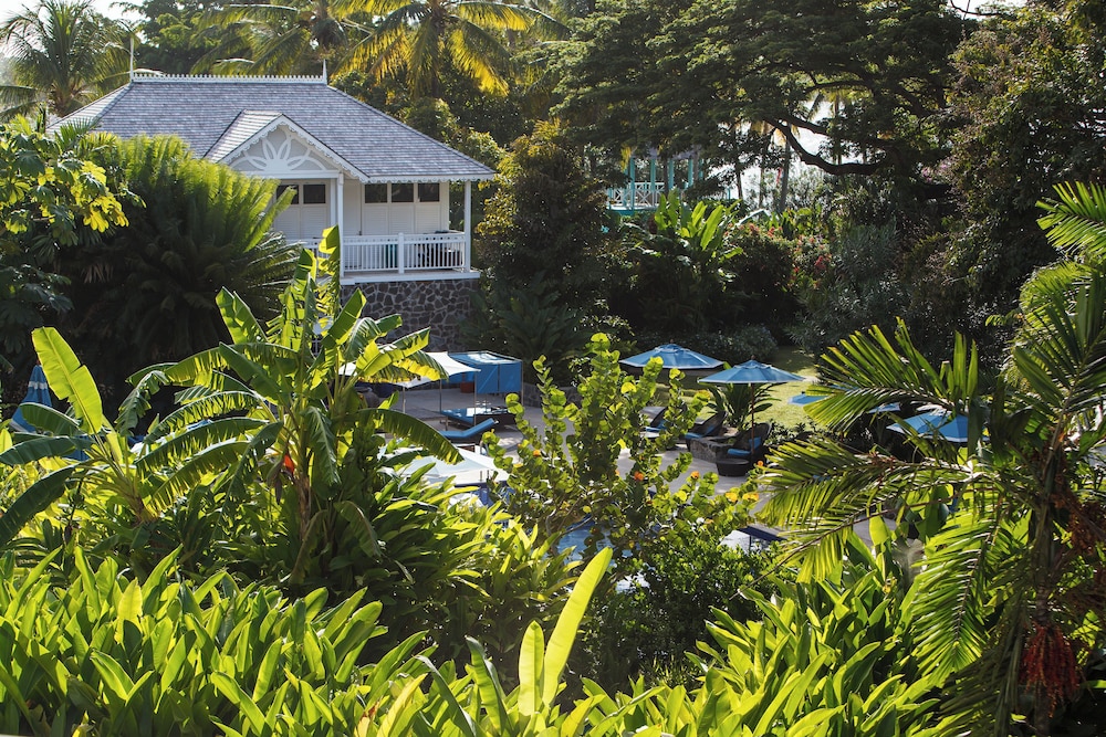 StolenTime Saint Lucia by null